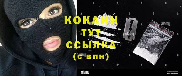 крисы Мегион