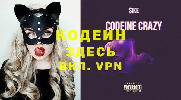 крисы Мегион