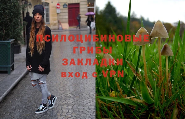 молекула духа Медногорск
