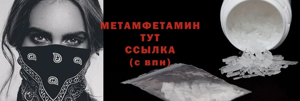 крисы Мегион