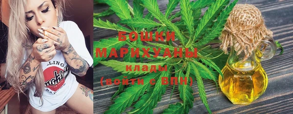 apvp Михайлов