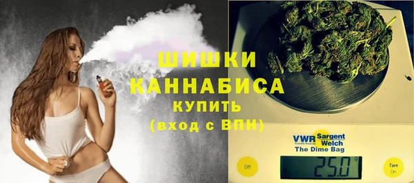 крисы Мегион