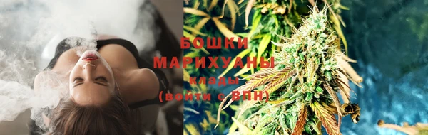 крисы Мегион